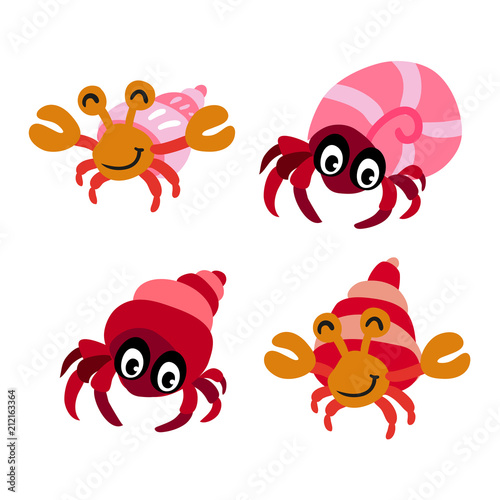 hermit crab character vector design © terdpong2