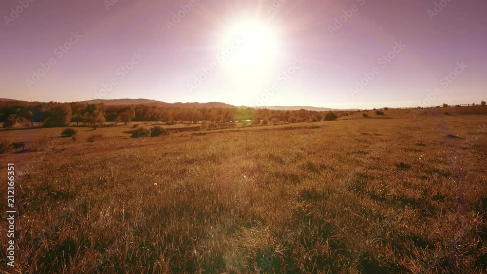 4K UHD mountain meadow timelapse at the summer or autumn time. Wild nature and rural field. Clouds, trees, green grass and sun rays movement. 4K UHD mountain meadow timelapse at the summer or autumn time. Wild nature and rural field. Clouds, trees, green grass and sun rays movement.