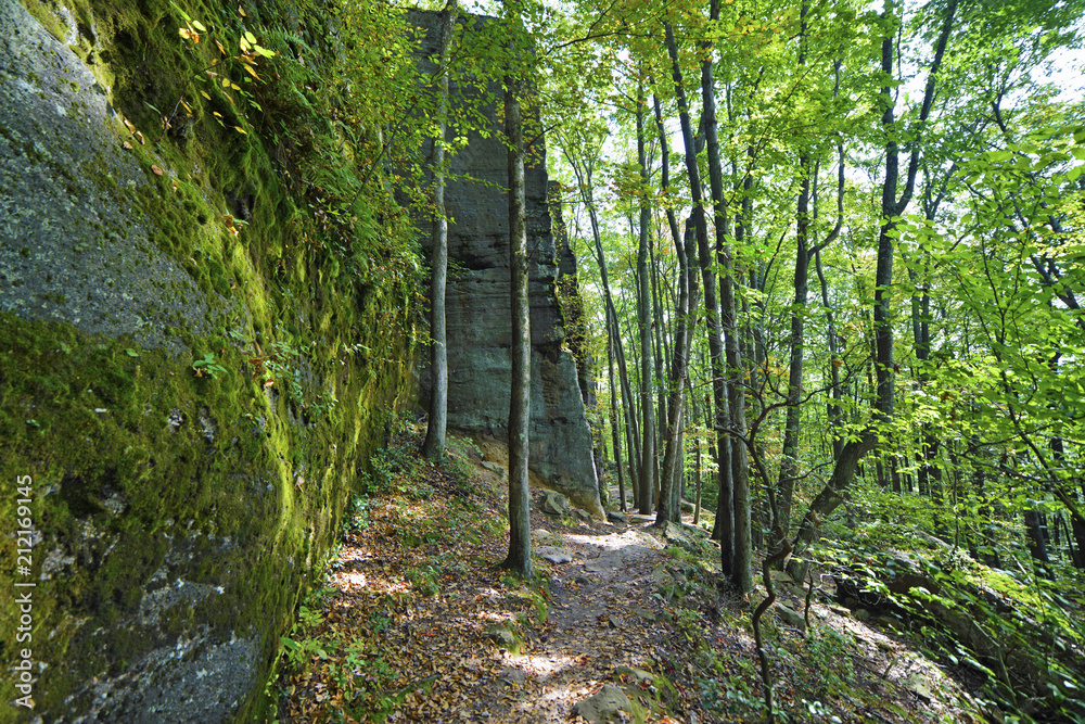 Path among the towering rockface at Rimrock overlook Path among the towering rockface at Rimrock overlook