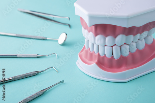 歯科用器具と歯の模型