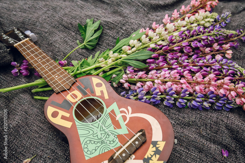Aculele on a coverlet among lupines