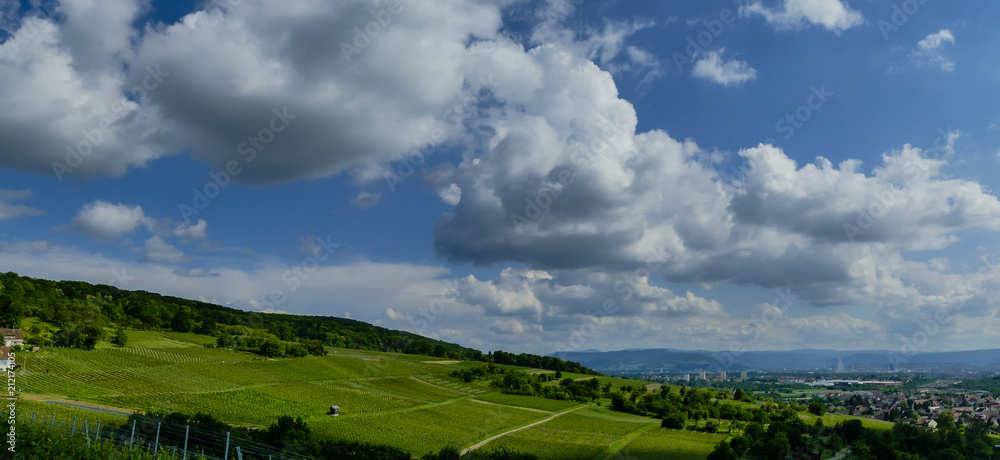 Obraz premium Panoramafoto Markgräflerland