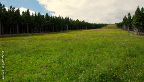 Stok narciarski latem - zielony, porośnięty trawą i opustoszały