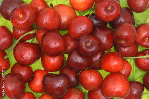 Sweet cherry fruits.