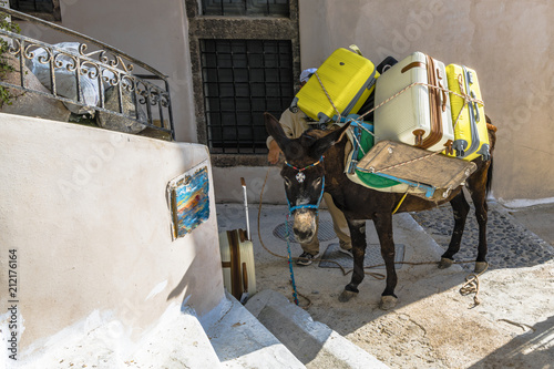 Donkey is the best transport in mountain village