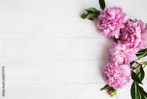 Fototapeta Naklejka Na Ścianę i Meble -  Pink peony flowers