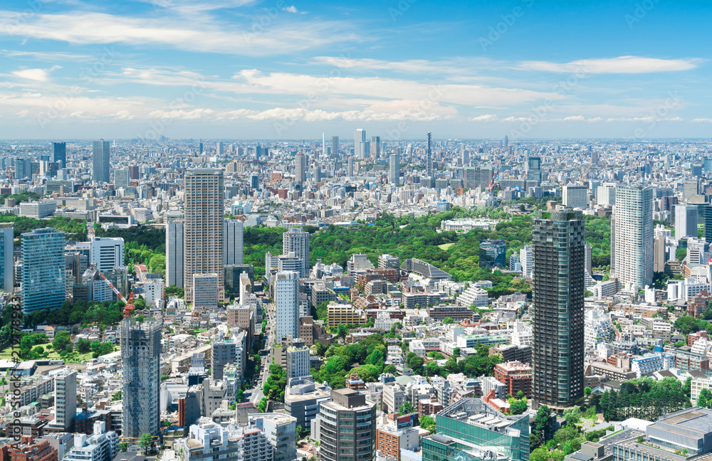 Fototapeta premium 東京風景