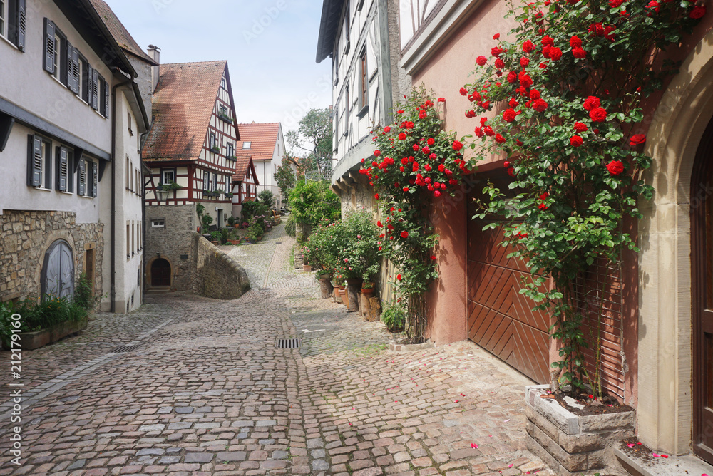 An ancient pedestrian street with half-timbered houses and growing red roses in perspective. Bad Wimpfen, Baden-Wurttemberg, Germany.