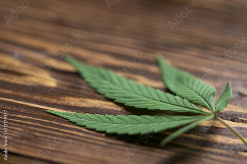 cannabis leaves on old wooden background