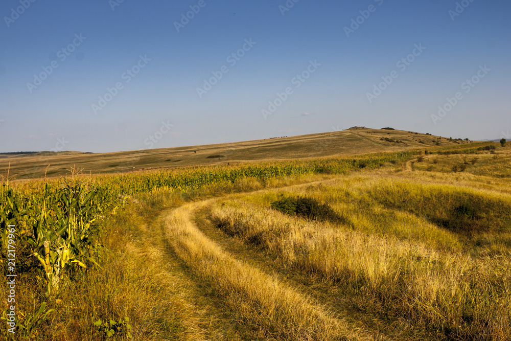 Summer sunset on the hills with path