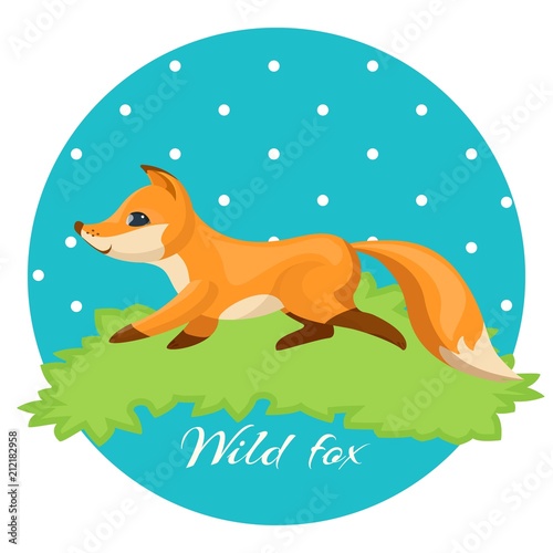 Wild fox  colorful illustration of night hunter on grass