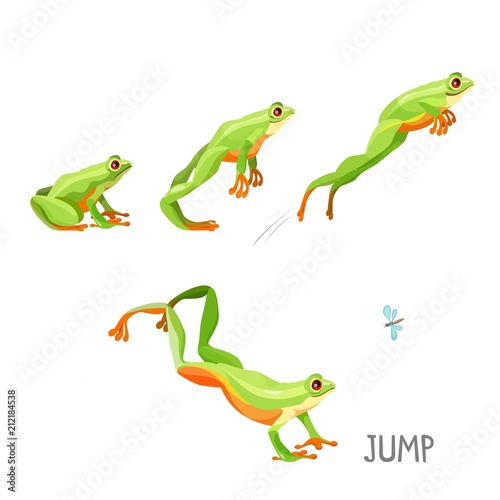Frog jumping by sequence cartoon vector illustration