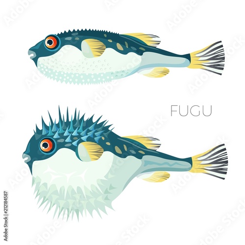 Fugu fish japanese puffer fish vector sketch drawing