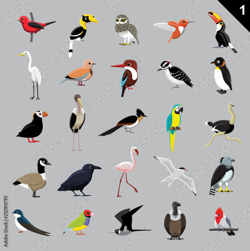 Various Birds Cartoon Vector Illustration 1