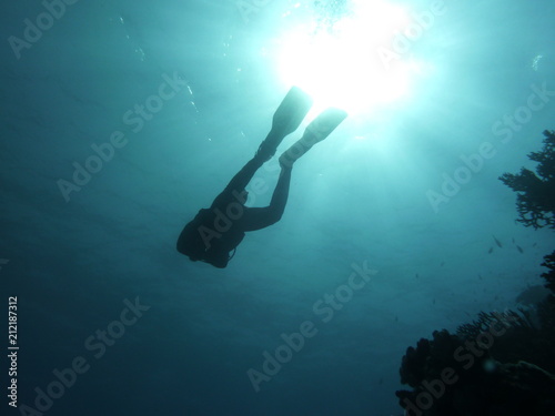 Unterwasserfotografie am Roten Meer  © Kathrin