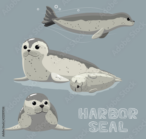 Harbor Seal Cartoon Vector Illustration
