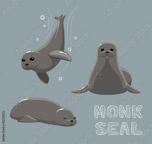 Monk Seal Cartoon Vector Illustration