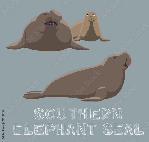 Southern Elephant Seal Cartoon Vector Illustration