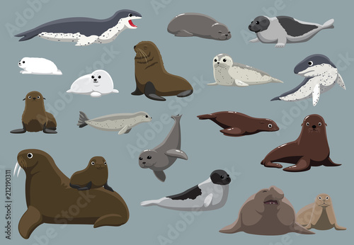 Various Seals Set Cartoon Vector Illustration photo