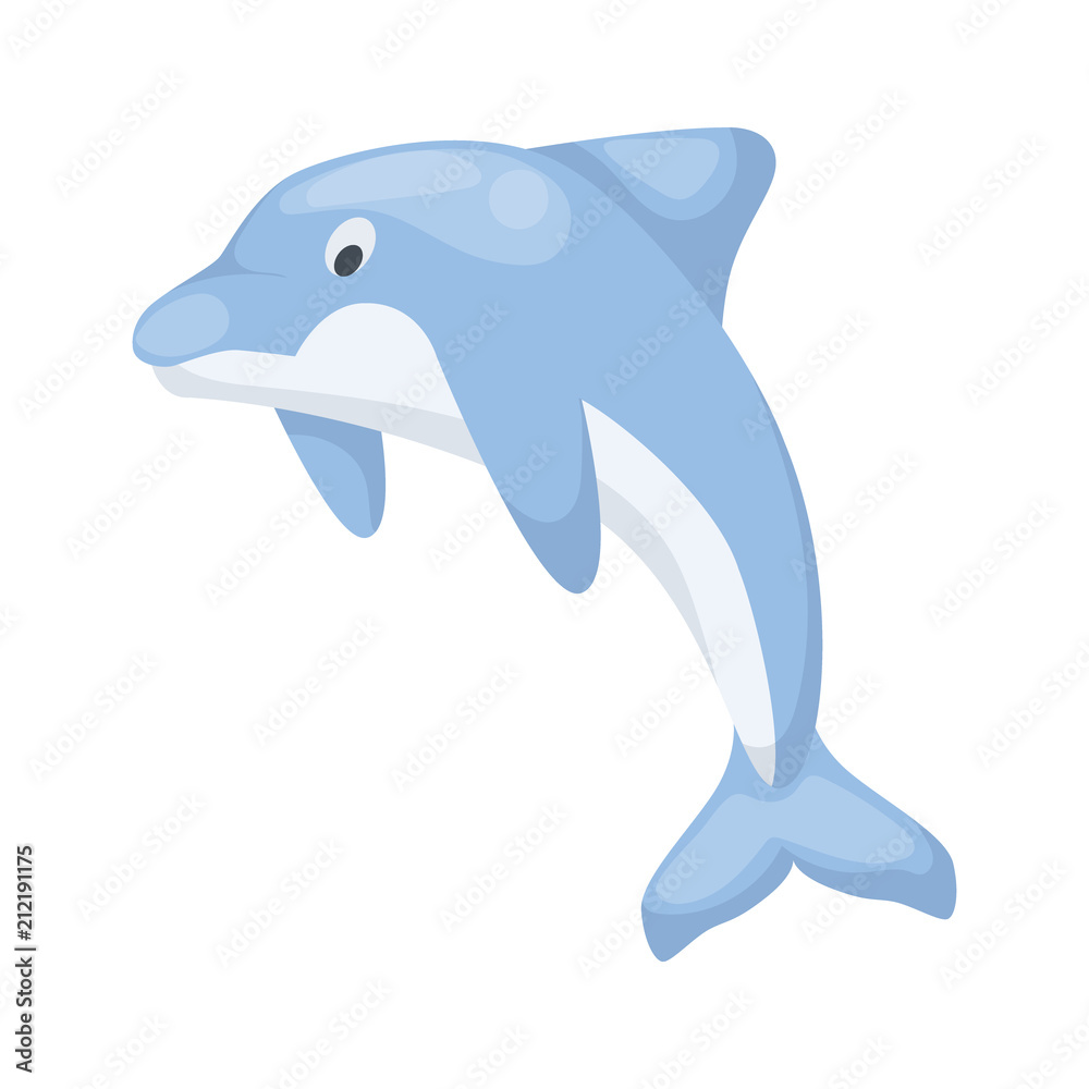 Fototapeta premium Dolphin vector illustration sea water mammal ocean blue nature animal.