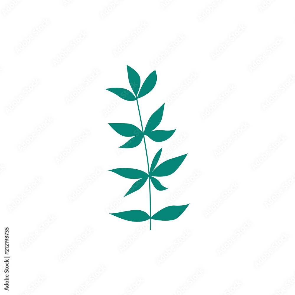 Green plant leaf isolated on white background. Natural floral element for design in flat style - botanical decoration of tree or flower foliage. Vector illustration of abstract herbal object. Green plant leaf isolated on white background. Natural floral element for design in flat style - botanical decoration of tree or flower foliage. Vector illustration of abstract herbal object.