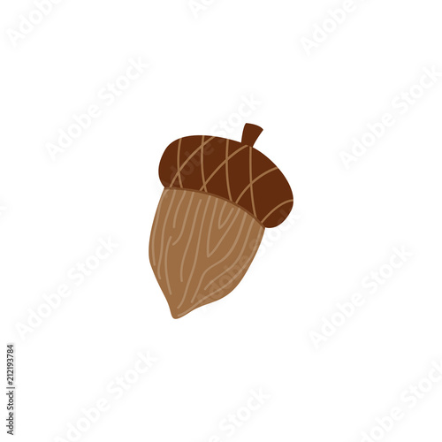 Mature brown acorn - oak nut for seasonal autumn design in flat style. Vector illustration of tree seed and animal food - fall natural decorative element isolated on white background.