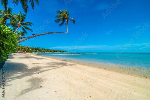 Fototapeta Naklejka Na Ścianę i Meble -  Beautiful tropical beach sea and sand with coconut palm tree on blue sky and white cloud