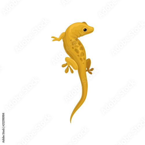 Lizard amphibian animal vector Illustration on a white background