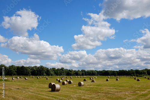 beautiful sunny farmland with dozen of hay bales