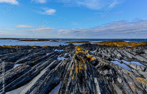 The coast of the Barents Sea, with sharp stones and red algae. Northern seascape