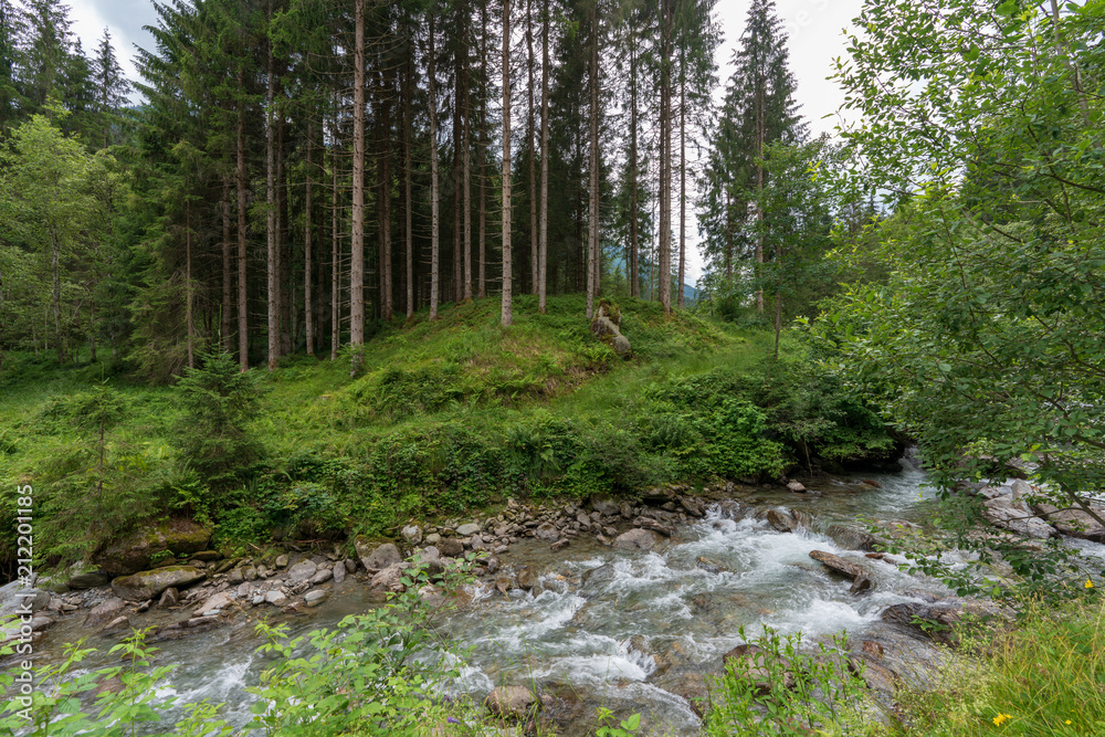 Kleiner Bach in idylischer Wiesen und Waldlandschaft