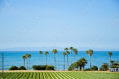 Amazing view by the ocean in sunny California photo