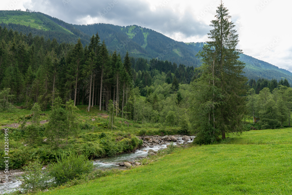 Obraz premium Kleiner Bach in idylischer Wiesen und Waldlandschaft