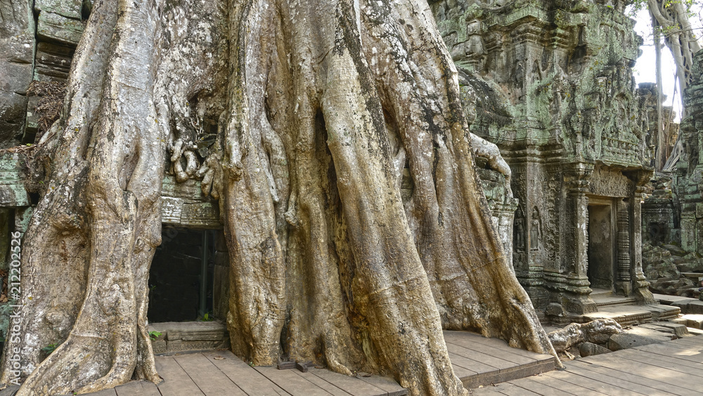 CLOSE UP: Cool shot of a decaying Buddhist temple overgrown by thick tree roots.