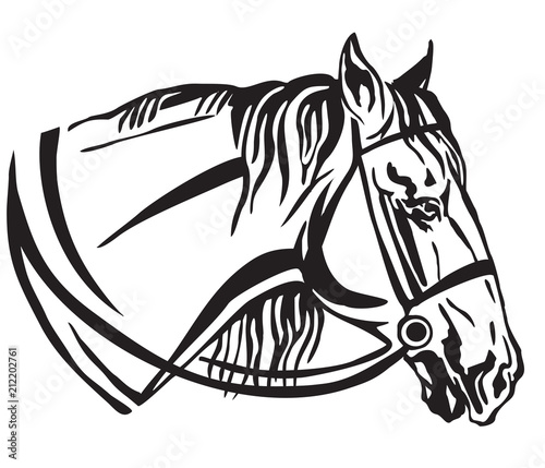 Decorative portrait of horse in profile with bridle vector illustration