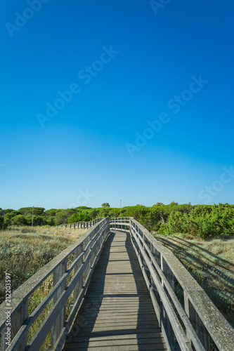 Wooden catwalk on the beach