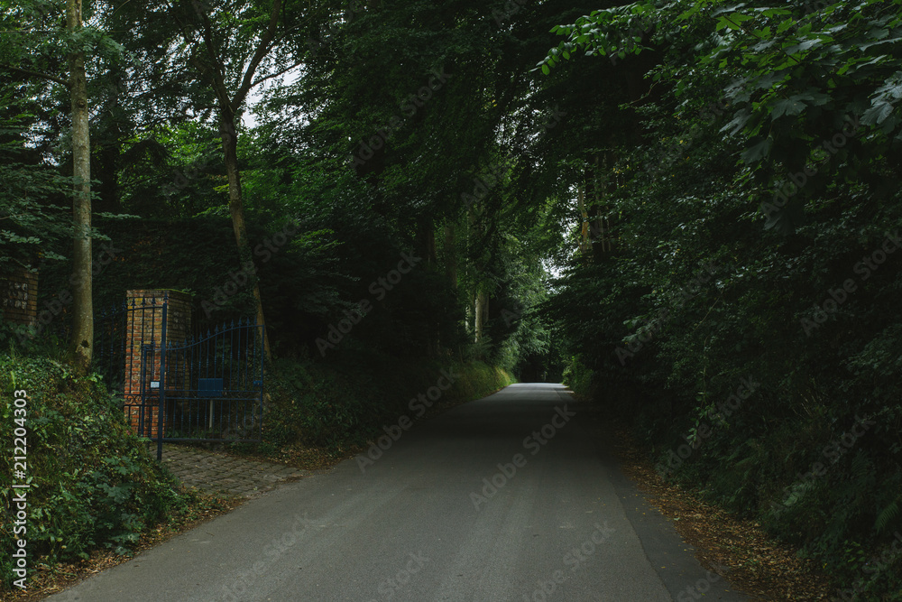 Obraz premium Empty asphalt country road passing through green forests and villages. Summer countryside landscape in the region of Normandy, France. Recreation, nature, holidays, travel and road network concept.