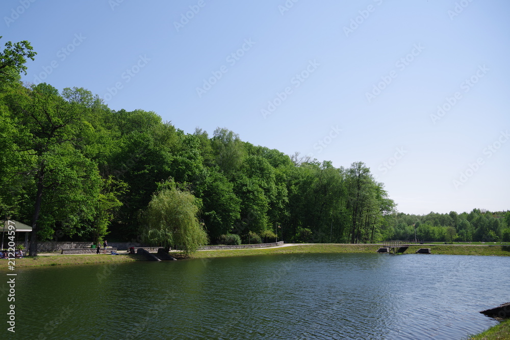 park with a small pond and trees park with a small pond and trees