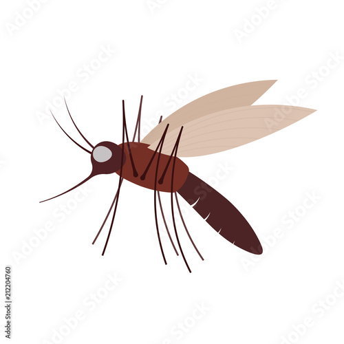 Mosquito vector icon