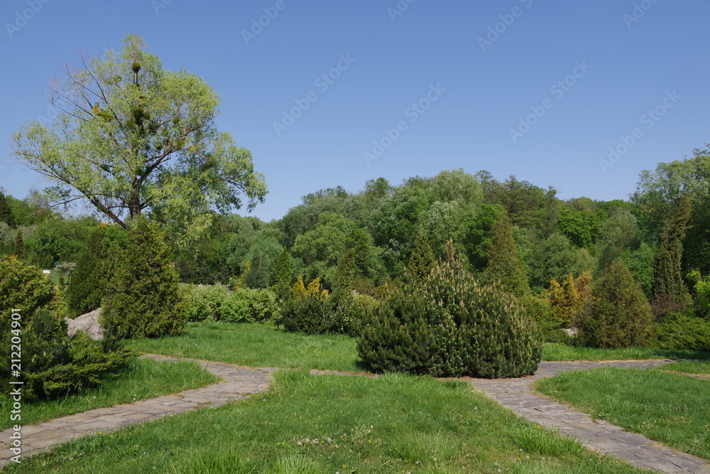 park with a brick path and trees
