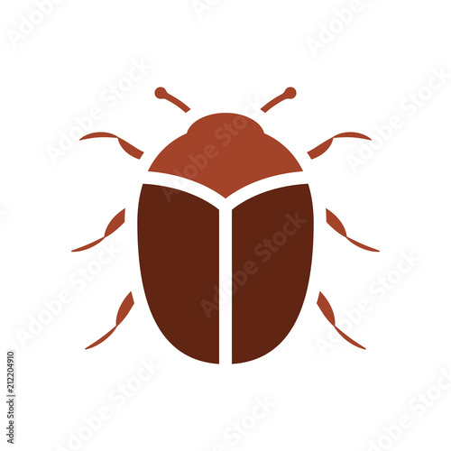 Carpet beetle icon