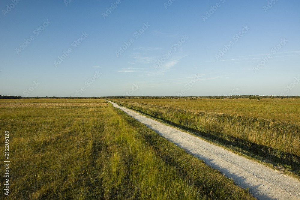 Straight path through meadows