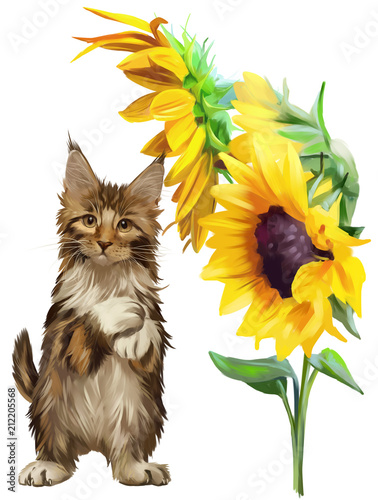 Red fluffy cat and sunflowers watercolor painting