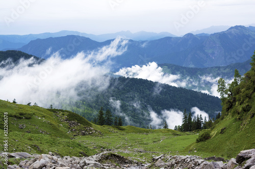 nature