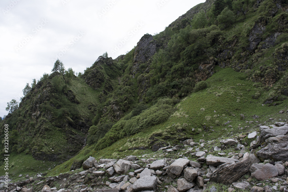 Obraz premium Mountain at govind pashu vihar national park and sanctuary, India