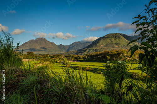 Landscape from Gayo Highland. A beautiful place for tourism.  photo