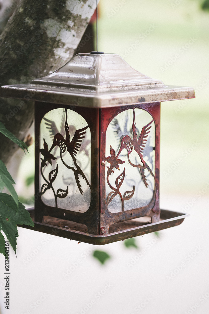 Hummingbird Bird Feeder Hummingbird Bird Feeder