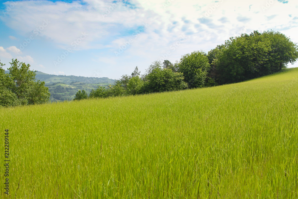 green natural hills