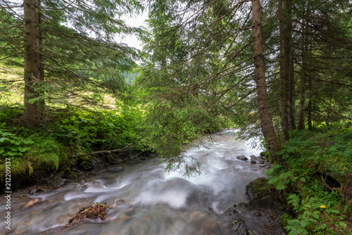 Kleiner Bach in idylischer Wiesen und Waldlandschaft