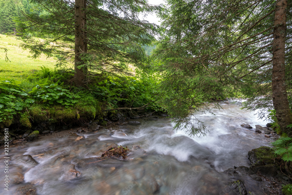 Kleiner Bach in idylischer Wiesen und Waldlandschaft